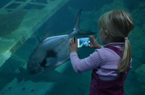 A visit to the UK's largest aquarium - National Marine Aquarium, Plymouth