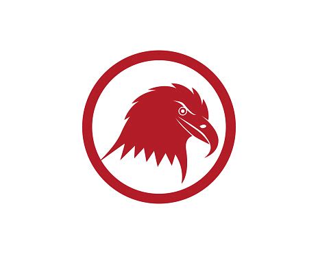 Eagle Head Logo And Symbol Stock Illustration - Download Image Now ...