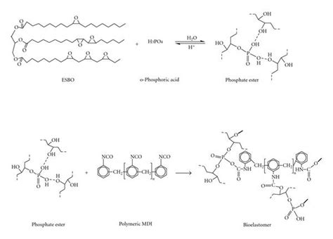 Overall schematic representation of phosphate ester and subsequent ...