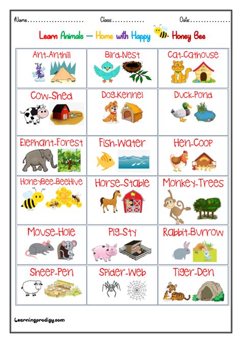 Animals and their Home |Habitat Chart for Preschoolers ...