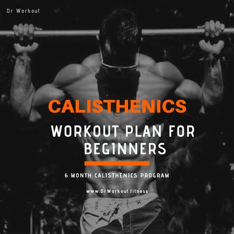 Calisthenics Workout Plan for Beginners - 6 Month Program (with PDF ...