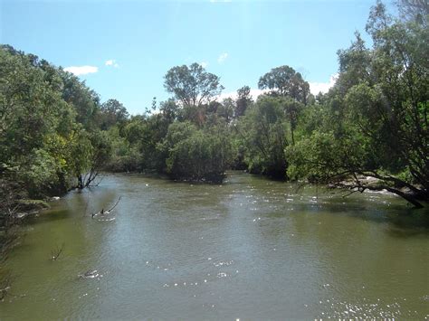 World water, Logan river, Water