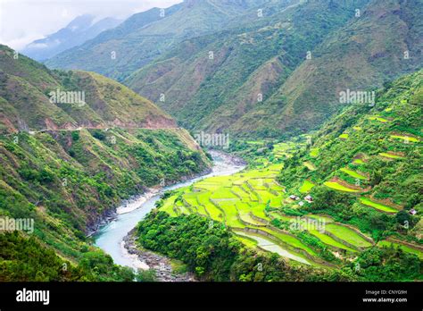 Rice terrace in Cordillera mountains, Luzon, Philippines Stock Photo ...