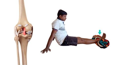 7 Best Knee Ligament Injury Treatment Exercises : Physiosunit