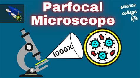 Parfocal Microscope | Microscopy | Microbiology Lab - YouTube