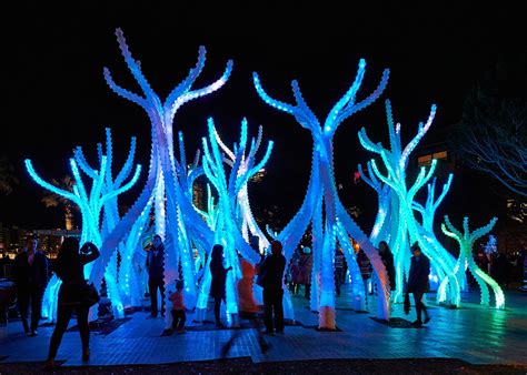 Pandora-like Arclight mangrove forest pops up in Sydney Harbor | Light ...