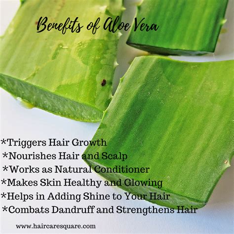 Benefits Of Aloe Vera Juice Or Gel For Hair & How To Use It In 5 Ways?