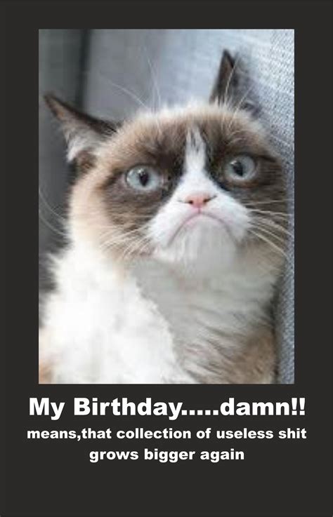 Happy Birthday Grumpy Cat Meme