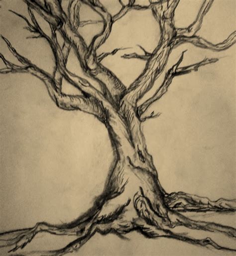 Scary Trees Drawing at GetDrawings | Free download