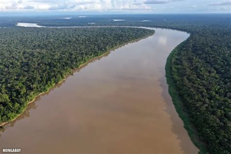 Amazon River Basin Rainforest