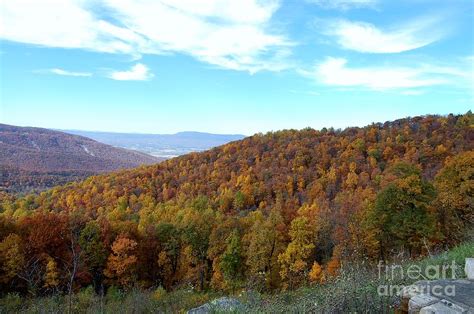 Fall on Skyline Drive Photograph by Anne Marie Corbett - Pixels