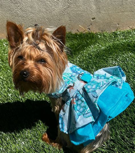 Dog Dress Beach Theme Custom Harness Clothes Cat Made in - Etsy