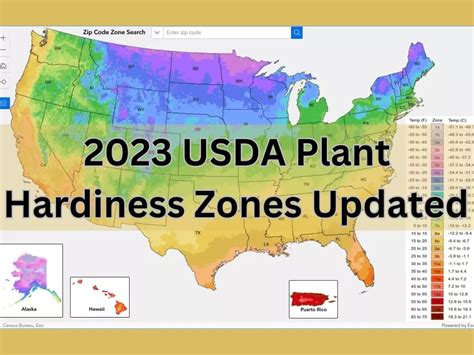 New USDA Plant Hardiness Zone Map Updated 2023 - The Garden Style