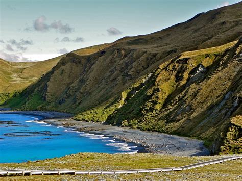 A Breath of Fresh Air: Magical Macquarie Island - Part III