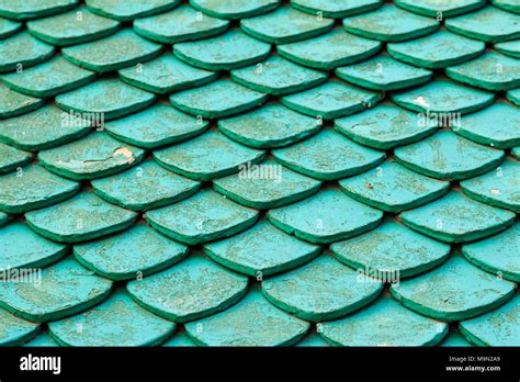 Green roof tiles hi-res stock photography and images - Alamy