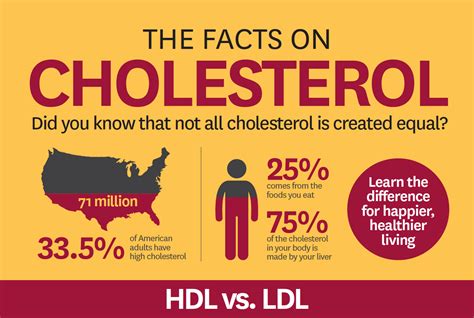 What Is the Difference Between Good and Bad Cholesterol? - Keck ...