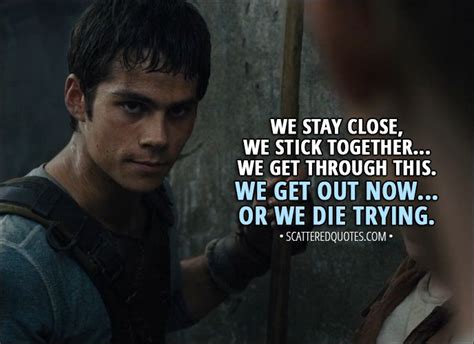 10+ Best 'The Maze Runner (2014)' Quotes: "Remember. Survive. Run ...