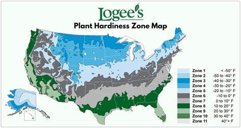 Zone 8 Plants Map - Sibby Dorothee