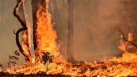 Australia bushfires could rage for months as PM defends climate change ...