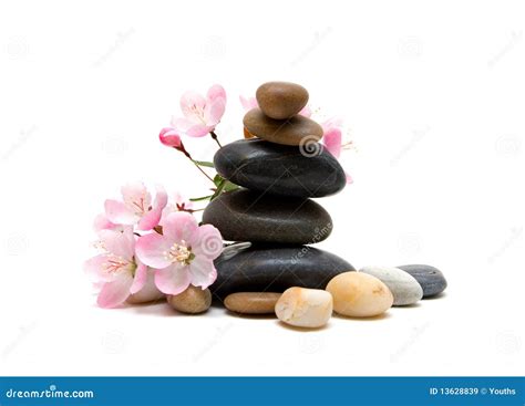 Zen / Spa Stones with Flowers Isolated on White Background Stock Image ...