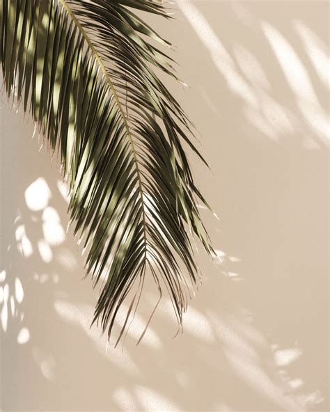 tropical palm leaves vi Art Print by mauikauai - X-Small | Beige ...