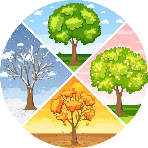 Set of four seasons backgrounds 4558737 Vector Art at Vecteezy