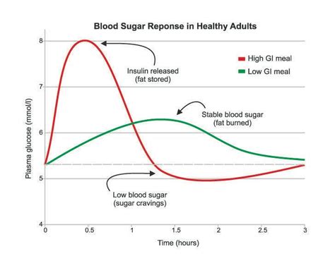 The Role of Insulin in Fat Burn & Fat Storage - Dynamic Running Fitness