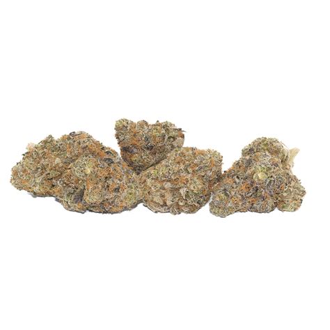 Oreo Blizzard - AAAA Indica Dominant Hybrid - Maritime Smoke