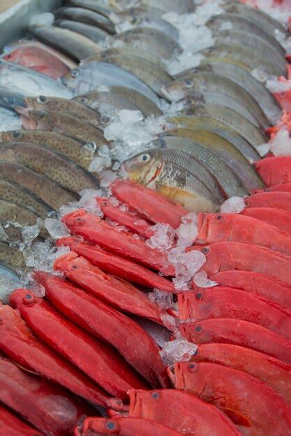 Premium Photo | Fresh seafood