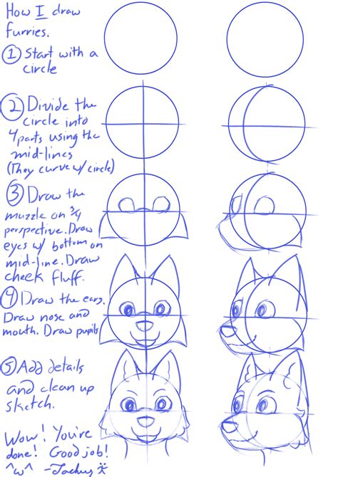 How To Draw A Furry Step By Step | Images and Photos finder