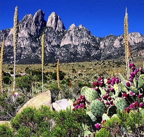 Day Hiking Trails: Great trails explore scenic Organ Mountains-Desert ...