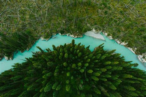 nature, Landscape, Drone, Aerial view, Trees, River Wallpapers HD ...