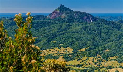 Wollumbin Mount Warning summit track | NSW National Parks