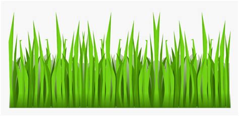 Green, Grass, Growing, Nature, Mowing, Plant, Outside - Cartoon Grass ...