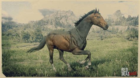 Turkoman Horse | RDR2 Horse Breeds Coats, Locations & Stats