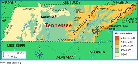 Tennessee Elevation Map | Elevation map, Chickamauga, Clingmans dome