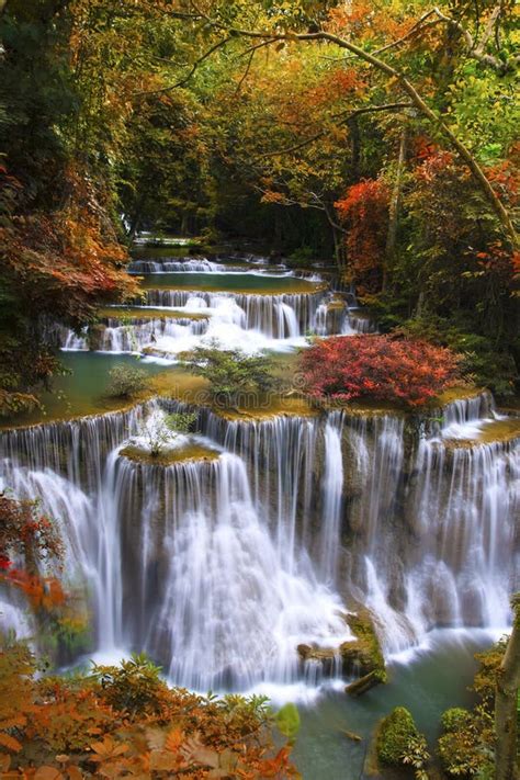 Waterfall in deep forest stock image. Image of tree, stream - 23659357