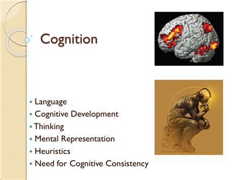 Cognition Language Cognitive Development Thinking