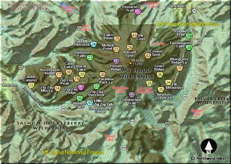 Mt Hood National Forest Map - Vector U S Map