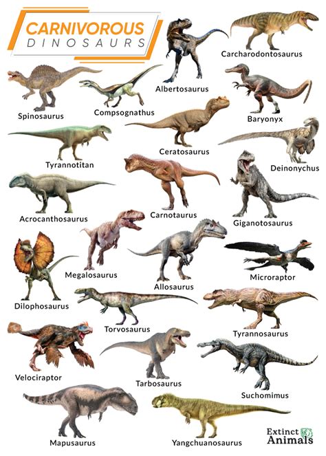 Carnivorous Dinosaurs Size Chart