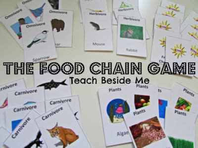 Food Chain Game - Teach Beside Me