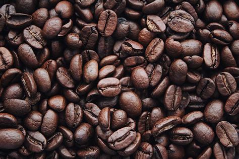 Coffee Beans Photos, Download The BEST Free Coffee Beans Stock Photos ...