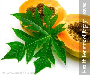 Health Benefits of Papaya Leaves