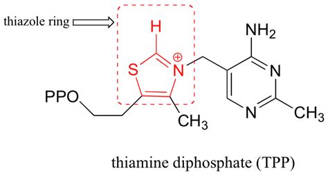 25.3: Thiamine Pyrophosphate- Vitamin B1 - Chemistry LibreTexts