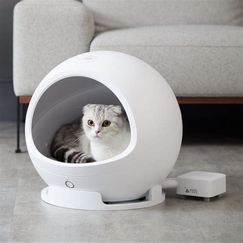 9 Best Heated Cat Beds | The Family Handyman