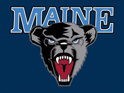 : Image Results | Black bear, University of maine, Orono