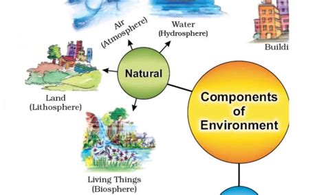 Components of Environment- Definition, Chart, PDF for Class 7