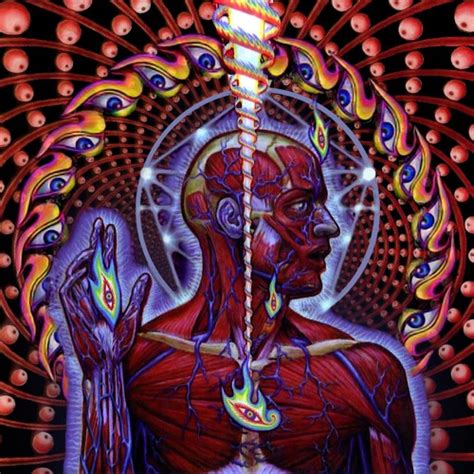 HEAVY MUSIC HISTORY: ON THIS DAY: Lateralus - Tool - Distorted Sound ...