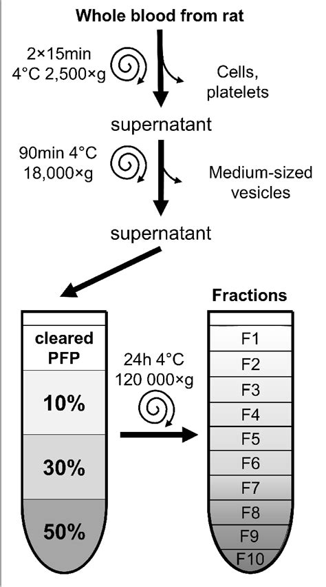 Figure 1 from Isolation of High-Purity Extracellular Vesicles by the ...