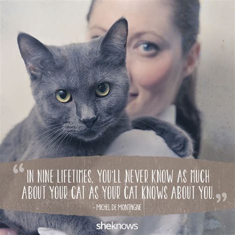 50 Cat Quotes That Only Feline Lovers Would Understand | Cat quotes ...